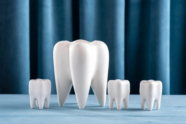 White tooth models of varying sizes arranged on blue surface with blue curtain background.